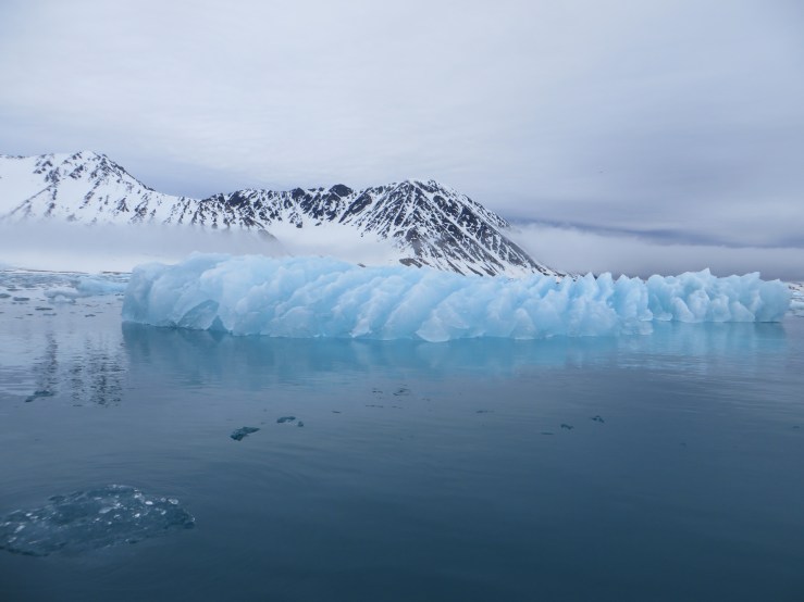 ice carved by bubbles 2.JPG