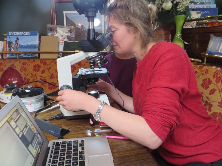 looking at slides.JPG