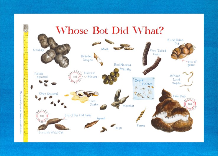 What bot web no border.jpg