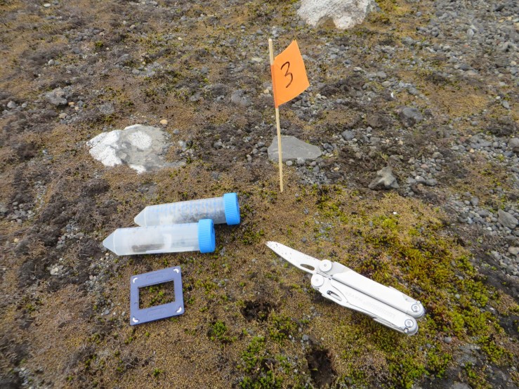 moss blue lake copy 2.JPG