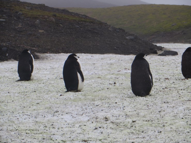 sitting around copy.JPG