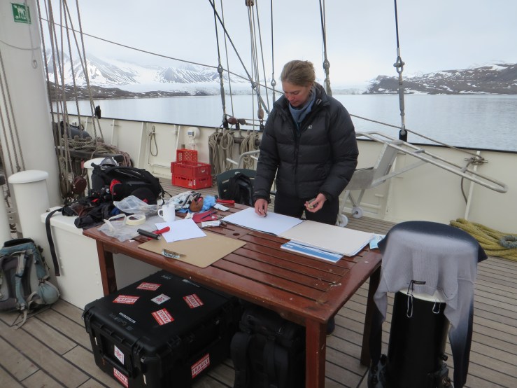 monoprint on Antigua copy.JPG